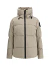 Canada Goose Matte Finish Puffer Jacket With High Collar In Gray