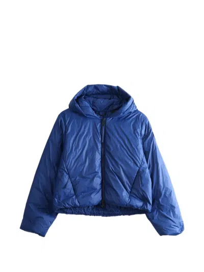 Canada Goose Elba Hooded Padded Jacket In Blue