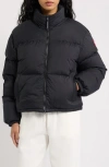 Canada Goose Cropped Puffer Jacket High Neck Hem Drawstring In Black - Noir