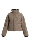 Canada Goose Grandview Black Label Cropped Puffer Jacket In Gray