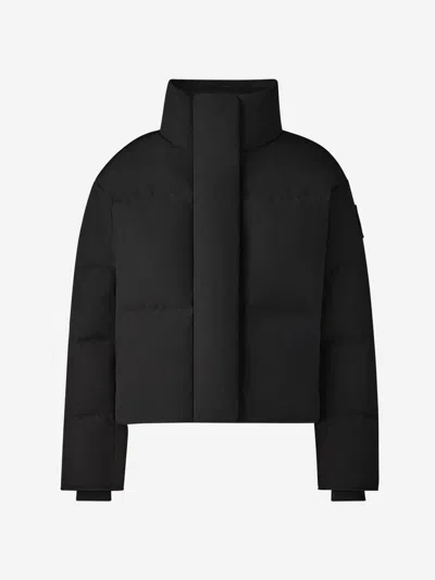 Canada Goose High Neck Short Padded Jacket With Hidden Closure In Black