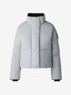 Canada Goose Grandview Water-repellent Cropped Puffer Jacket In Grey