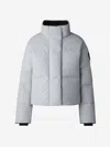 Canada Goose Grandview Water-repellent Cropped Puffer Jacket In Ribbed Knit Cuffs