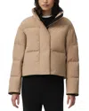 Canada Goose Grandview Cropped Jacket Black Label In Desert Sand