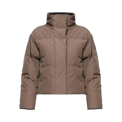 Pre-owned Canada Goose Grandview Cropped Jacket 'taupe Grey' | Women's Size S In Gray