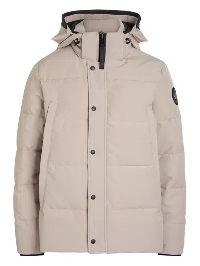 Canada Goose Wyndham Quilted Arctic-tech Parka In Neutral