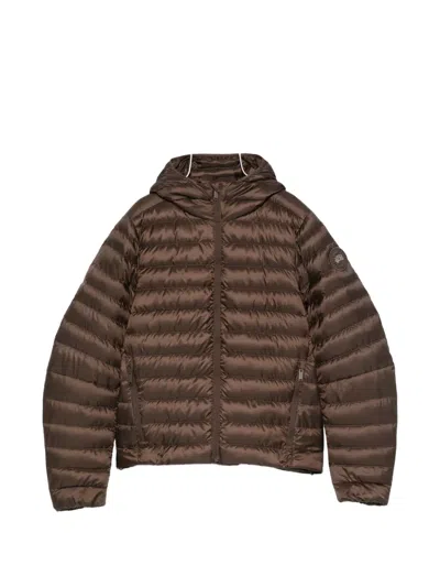 Canada Goose Hooded Quilted Jacket In Brown