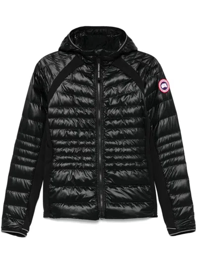 Canada Goose Hybridge Jacket In Black