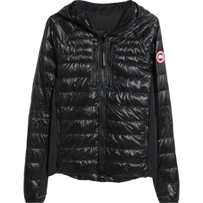 Canada Goose Hybridge® Lite 800-fill-power Down Hooded Jacket In Black