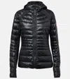 Canada Goose Hybridge Lite Jacket In Black