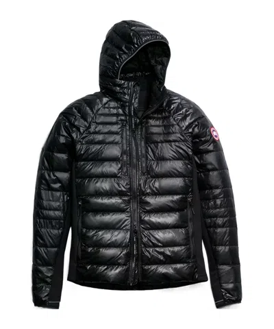 Canada Goose Hybridge Lite Hooded Jacket In Black