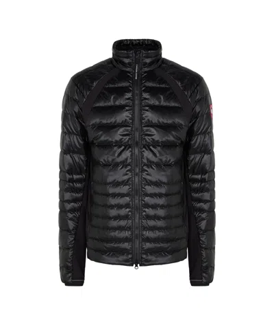 Canada Goose Hybridge Lite Jacket In Black