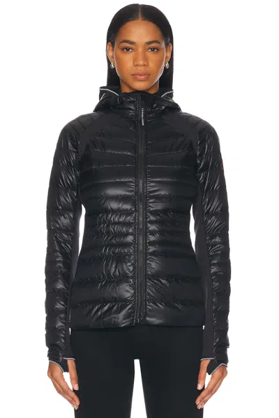 CANADA GOOSE HYBRIDGE LITE JACKET