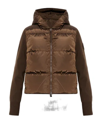 Canada Goose Jacket 6507wt 0-terra In Brown
