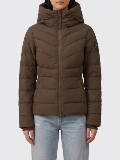 Canada Goose Jacket  Woman Color Earth In Brown