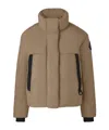 Canada Goose Junction Cropped Black Label Puffer Coat In Brown