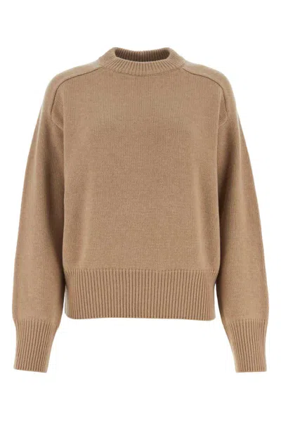 Canada Goose Knitwear In Brown