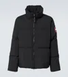 Canada Goose Lawrence Puffer Jacket In Black