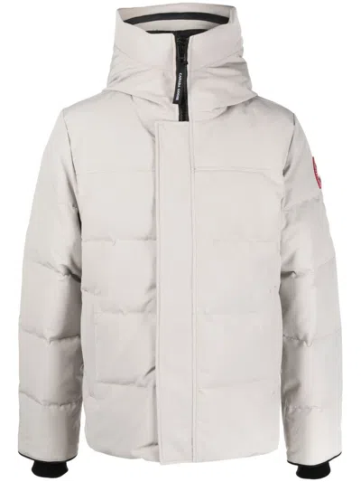 CANADA GOOSE LIMESTONE GREY HOODED JACKET