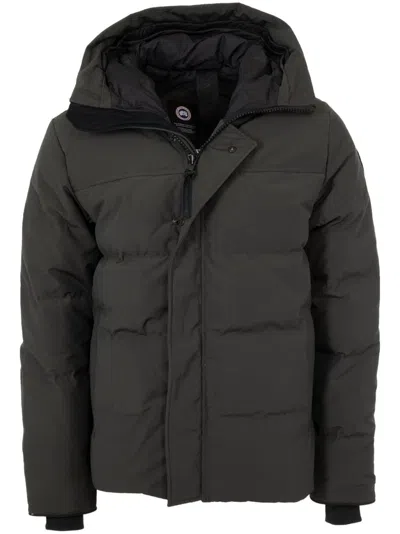 Canada Goose Gray Macmillan Down Jacket In Graphite - Graphite