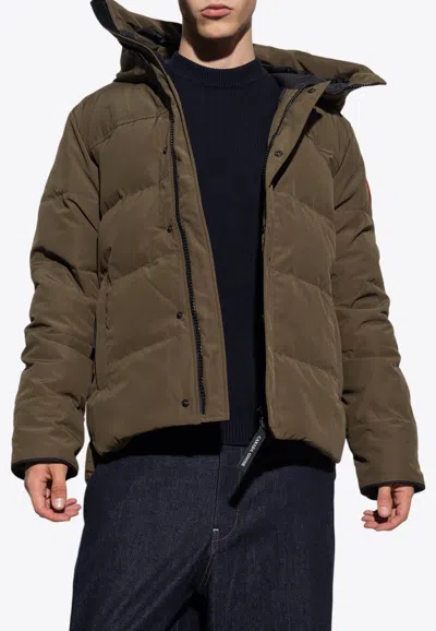 Canada Goose Macmillan Padded Jacket In Green