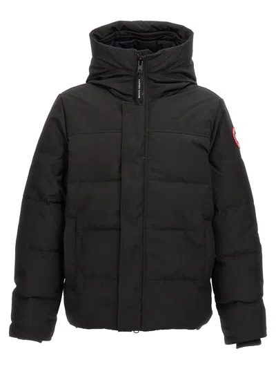 Canada Goose Wyndham Hooded Padded Jacket In Black