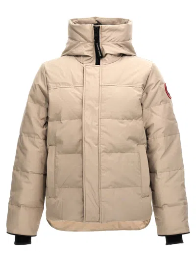 Canada Goose Macmillan Puffer Jackets Gray In Multi