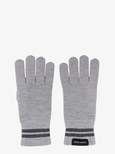 Canada Goose Man Gloves Man Grey Gloves In Gray