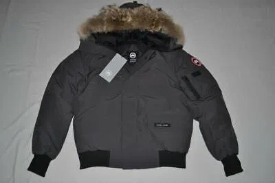 Pre-owned Canada Goose Men's Chilliwack Bomber Jacket Graphite Grey All Sizes Authentic In Gold