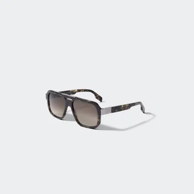 Canada Goose Milford Sunglasses In Brown