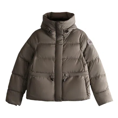 Pre-owned Canada Goose Montgomery Jacket 'taupe Grey' | Women's Size S In Gray