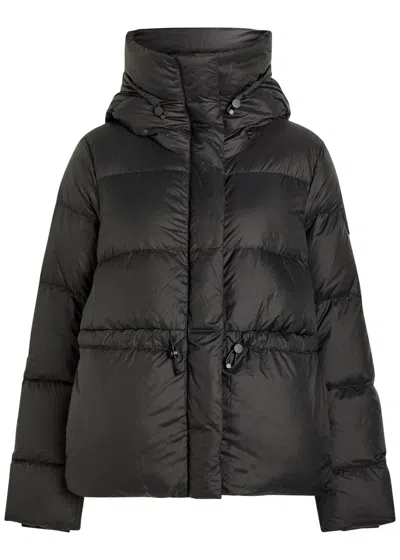 Canada Goose Montgomery Padded Shell Jacket In Black