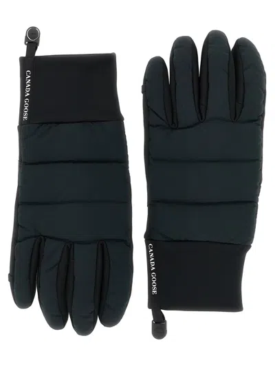 CANADA GOOSE CANADA GOOSE PADDED GLOVES