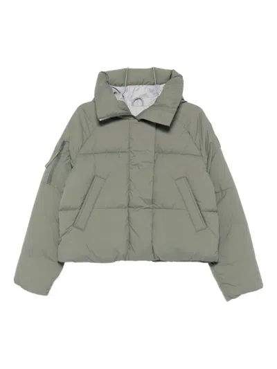 Canada Goose Padded Puffer Jacket In Gray