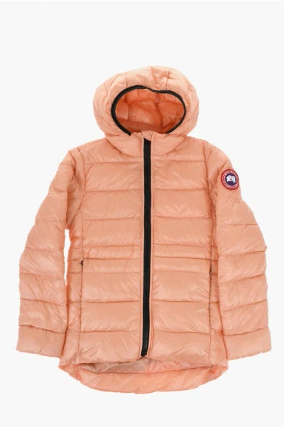 Canada Goose Quilted Hooded Down Jacket In Orange