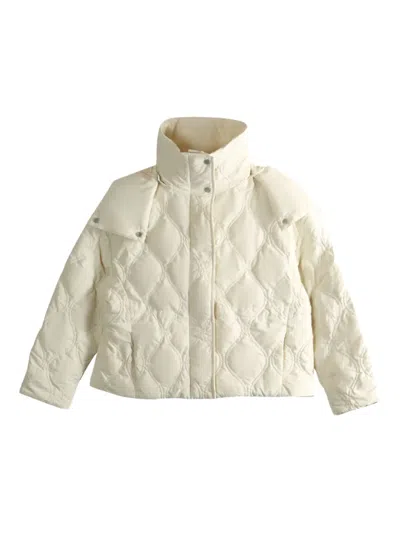 Canada Goose Quilted Hooded Jacket In Multi