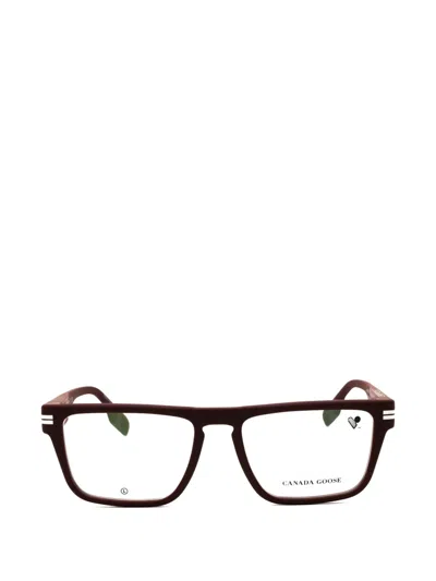 Canada Goose Rectangle-frame Glasses In Brown