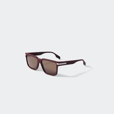 Canada Goose Redwood Sunglasses In Brown