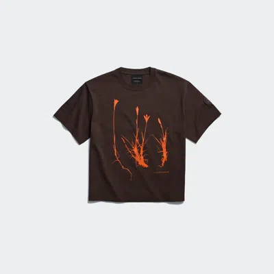 Canada Goose Roam Flower T-shirt In Brown