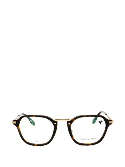 Canada Goose Round-frame Glasses In Neutral