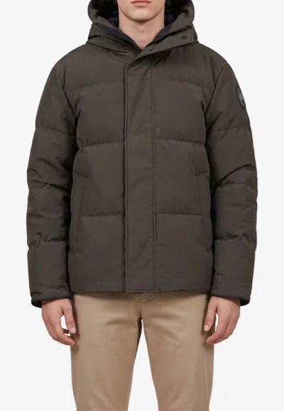 Canada Goose Seymour Arctic Tech Down Jacket In Brown