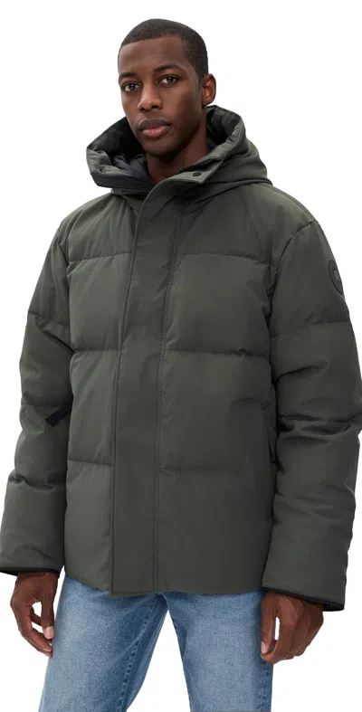 Canada Goose Seymour Parka Khaki Haze In Green