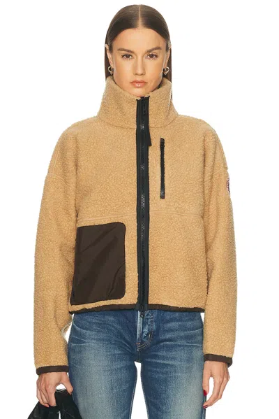 Canada Goose Simcoe Fleece Jacket In Brown