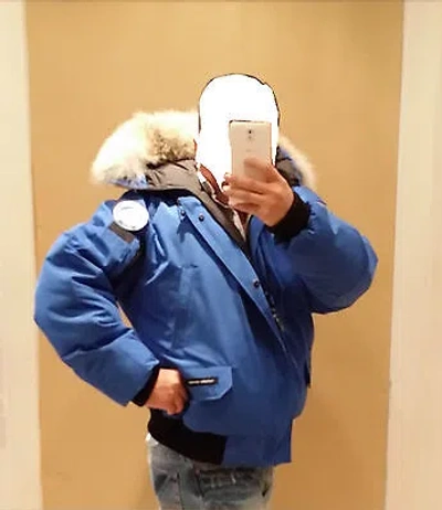 Pre-owned Canada Goose Special Edition Polar Bear  Grey Label Pbi Chilliwack Xl Bomber In Royal Blue (polar Bear Limited Edition) Pbi