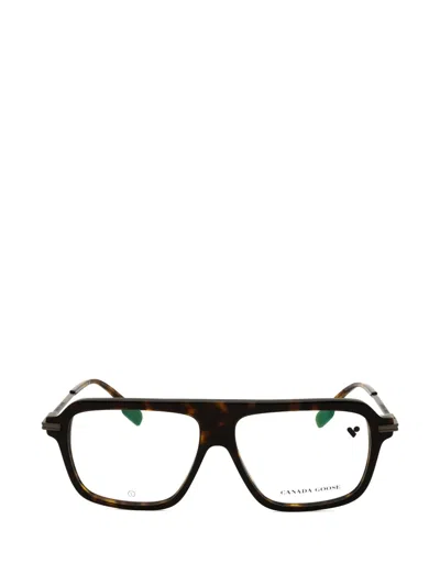 Canada Goose Tortoiseshell-effect Rectangle-frame Glasses In Brown