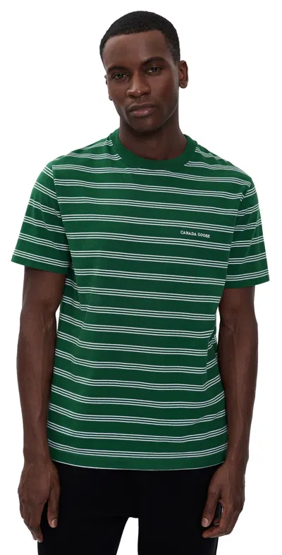 Canada Goose Vantage Stripe T-shirt Green Talbot Stripe