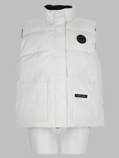 Canada Goose In White