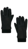 Canada Goose Workman Glove In 黑色