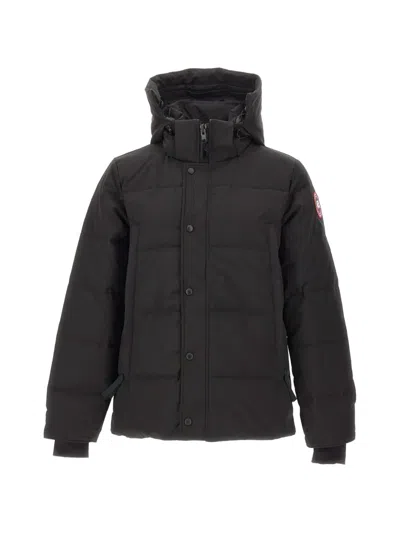 Canada Goose Wyndham Padded Jacket In Black
