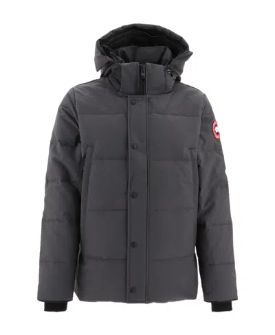 Canada Goose Gray Wyndham Down Jacket In Grey